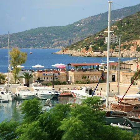Xanthos فيلة *